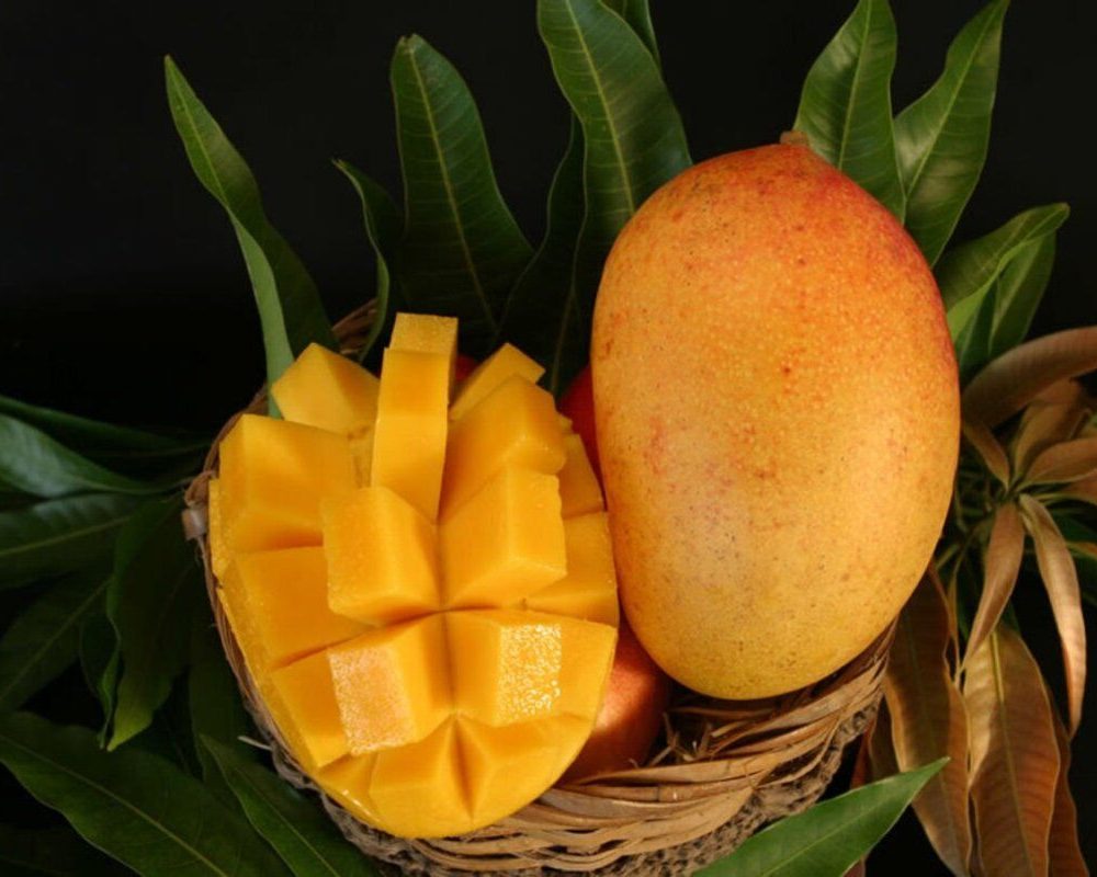 1686054321_polinka-top-p-foto-mango-frukt-kartinki-pinterest-18