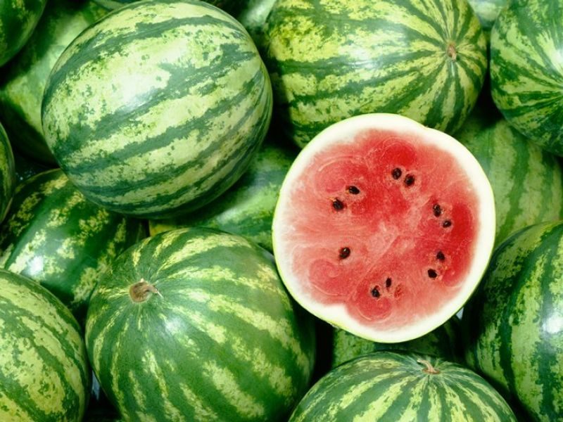 watermelon watermelon